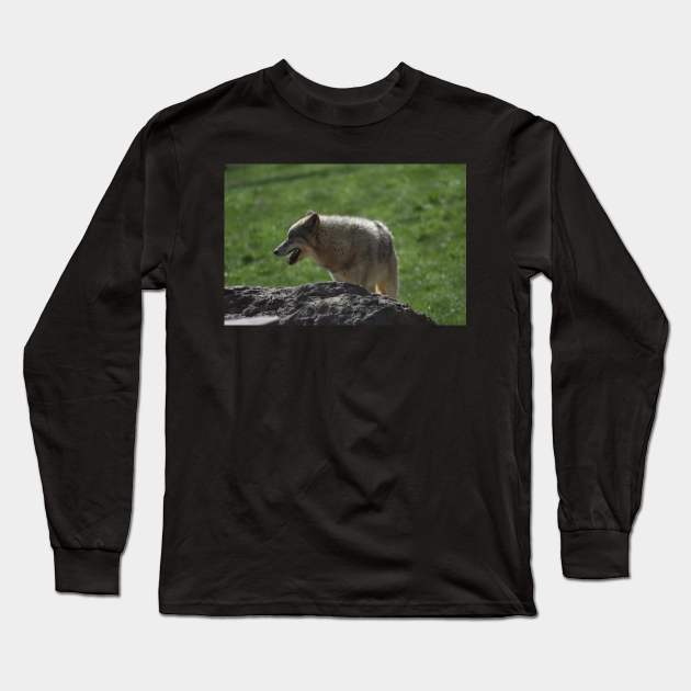 Wolf Long Sleeve T-Shirt by MarieDarcy